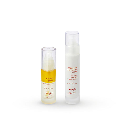 KAJO COSMETICS rinkinys veidui No.2