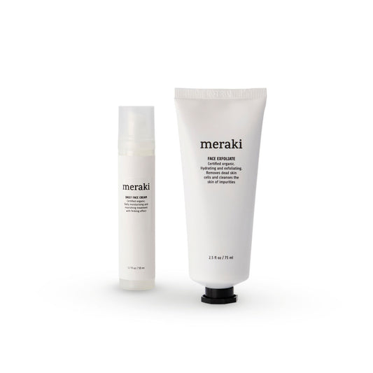 MERAKI rinkinys veidui No.1