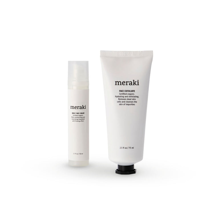 MERAKI rinkinys veidui No.1